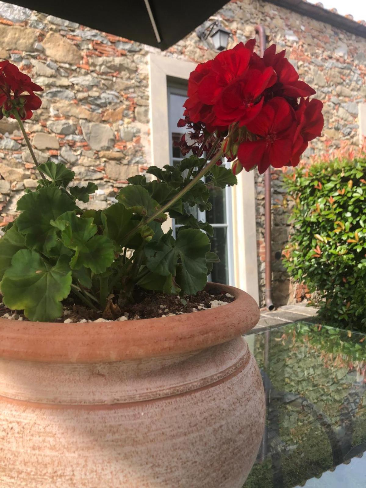 Tenuta Guinigi Antico Borgo Di Matraia - Exclusive Holidays Apartments & Pool Lucca Exteriör bild